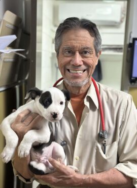 Dr. Arteaga, DVM