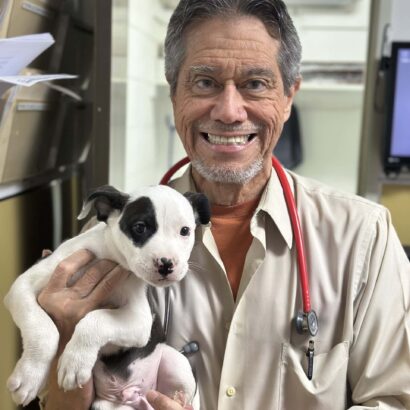 Dr. Arteaga, DVM